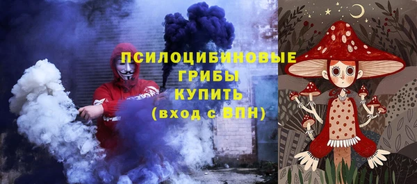 МДПВ Кодинск