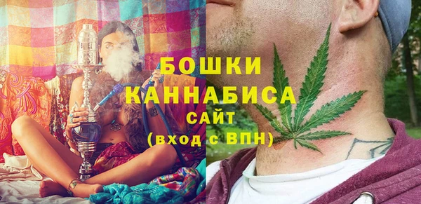 МДПВ Кодинск