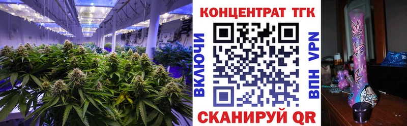Купить  Темников  Дистиллят ТГК Wax 